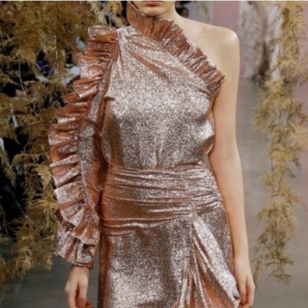 🔥Ulla Johnson metallic Catroux one shoulder top 2